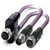 Phoenix Contact 1436026 signal cable 0.5 m Violet