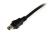 StarTech.com USB2HABMY6 kabel USB 1,8 m USB 2.0 Mini-USB B 2 x USB A Czarny, Czerwony