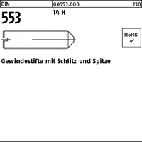 DIN 553 14 H M 6 x 25 VE=S