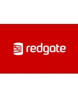 Red Gate SQL Prompt Pro 10 User 1Y EN WIN SUB Datenbanken