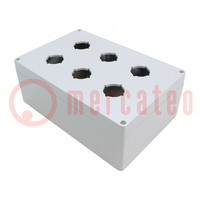 Enclosure: for remote controller; IP66; UL94-5V; X: 160mm; Y: 240mm