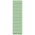 Blanko-Schildchen, Karton, 100 Stück, grün