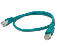 Gembird 1m CAT6 networking cable Green F/FTP (FFTP)