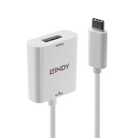 Lindy 43245 USB-Grafikadapter 3840 x 2160 Pixel Weiß