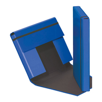 Pagna 21309-06 boîte à archive Bleu Carton
