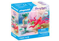 Playmobil 71503 toy playset
