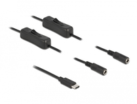 DeLOCK 86800 tussenstuk voor kabels USB Type-C 2 x DC 5.5 x 2.1 mm Zwart