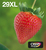 Epson Strawberry Multipack EasyMail "Fraise" 29XL - Encre Claria Home N,C,M,J