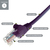 connektgear 1m RJ45 CAT6 UTP Stranded Flush Moulded LS0H Network Cable - 24AWG - Purple