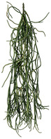Hängepflanze Fiza; 50 cm (H); grün