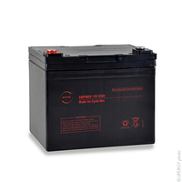 Batterie(s) Batterie plomb AGM NX 33-12 Cyclic 12V 33Ah M6-F