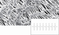 Filtro de membrana hidrófobo PTFE