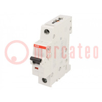 Installatieautomaat; 230/400VAC; Inom: 13A; Polen: 1; op DIN-rail