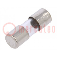 Fuse: fuse; quick blow; 0.25A; 250VAC; cylindrical,glass; 5x15mm