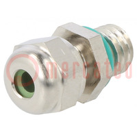 Cable gland; M6; 1; IP68; brass; HSK-MINI