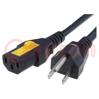 Cable; 3x18AWG; IEC C13 female,NEMA 5-15 (B) plug; PVC; 2m; black