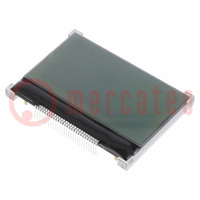 Display: LCD; graphical; 128x64; FSTN Positive; 68.8x49.2x5.1mm