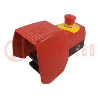 Switch: foot; SPST-NO + SPST-NC; 3A/250VAC; IP65; -30÷80°C