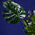 * Kunstpflanze / Kunstbaum PHILO Kunststoff grün hjh OFFICE