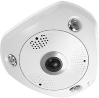 LevelOne FCS-3095 kamera przemysłowa Kulisty Kamera bezpieczeństwa IP Wewnętrz i na wolnym powietrzu 4000 x 3000 px Sufit/ściana/biurko