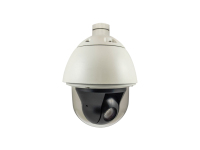 LevelOne FCS-4042 biztonsági kamera Dóm IP biztonsági kamera Szabadtéri 1920 x 1080 pixelek Fali