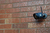 Yale SV-DB4MX-B bewakingscamera Rond IP-beveiligingscamera Binnen & buiten Plafond/wand/bureau