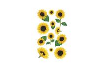 Aufkleber bsb Deco Sticker Sonnenblume, Blisterpackung