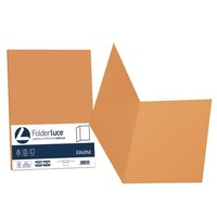 Cartellina semplice FAVINI FOLDER S cartoncino Simplex Luce&Acqua 200 g/m² 25x34cm arancio 56 conf.50 - A50E664