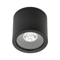 LED Außendecken-Strahler Typ Nr. 2319, IP44, Ø 11cm, 8W 3000K 800lm 30°, schwenkbar 30°, Schwarz matt