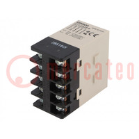 Relay: electromagnetic; DPST-NO + DPST-NC; Ucoil: 24VDC; 25A; 50mΩ