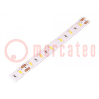 LED strips; warm wit; 5630; 24V; LED/m: 60; 12mm; witte PCB; IP65