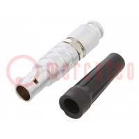 Connector: ; socket