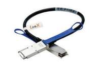 Lenovo 1m Mellanox QSFP Passive DAC InfiniBand/fibre optic cable Nero, Blu