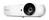 Optoma X461 videoproyector Proyector de alcance estándar 5000 lúmenes ANSI DLP XGA (1024x768) 3D Blanco