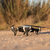 PolarPro AR-LG alkatrész kamerás drónhoz Futómű