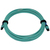 Tripp Lite N846B-10M-24-P InfiniBand/fibre optic cable MPO/MTP OFNR OM3 Aqua-kleur, Zwart, Blauw