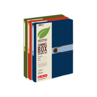 Sammelbox Recycling A4 PP dunkelblau 4cm easy orga to go
