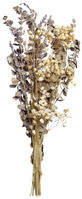 Trockenblumenbundle Kazumi; 36 cm (L); natur/grün/wollweiß