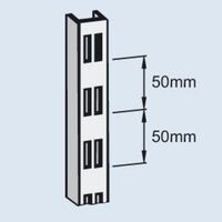 Slotted rail for wall shelf unit
