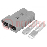 Connector: wire-wire; plug; hermaphrodite; PIN: 2; for cable; grey