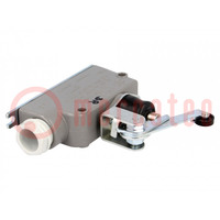 Limit switch; angled lever with roller; SPDT; 6A; max.400VAC
