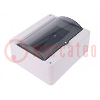 Enclosure: for modular components; IP30; wall mount; white; ABS