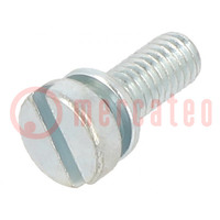 Screw; with washer; M3x8; 0.5; Head: cheese head; slotted; 0,8mm