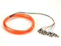 Black Box FOPT50M1-ST-12OR-3 cable de fibra optica 3 m 12x ST OFNR OM1 Naranja