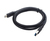 Cablexpert CCP-USB3-AMCM-0.1M USB cable USB 3.2 Gen 1 (3.1 Gen 1) USB A USB C Black