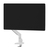 Neomounts DS70-250WH1 asztali TV konzol 88,9 cm (35") Fehér