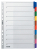 Leitz Tabblad Karton met Mylar versterkt 10 tabs A4 gekleurd