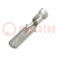 Terminal: flat; 6.3mm; 0.8mm; male; 4÷6mm2; crimped; for cable