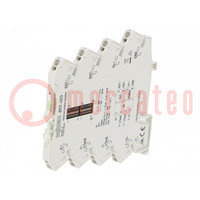 Converter: signal separator/amplifier; for DIN rail mounting
