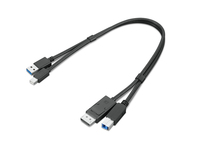 Lenovo 4X91D11453 USB-kabel 0,43 m USB 3.2 Gen 1 (3.1 Gen 1) USB A USB B Zwart